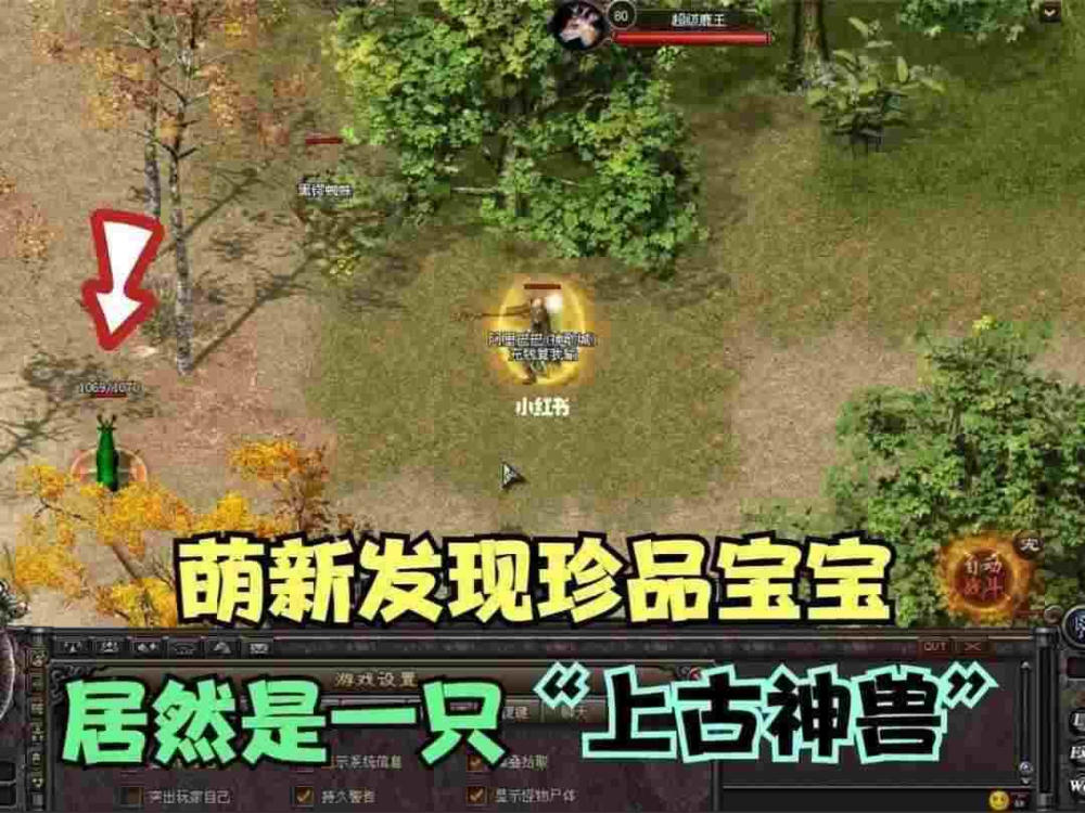 传奇微变sf今日新开之热血传奇怎么打宝